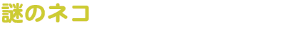 謎のネコ