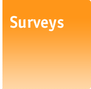 Surveys