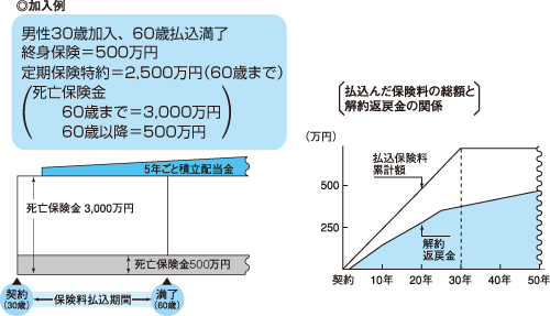 定期付終身保険の仕組み（５年ごと利差配当付の例）