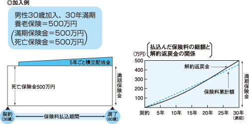 養老保険の仕組み（5年ごと利差配当付の例）