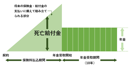 確定年金タイプの個人年金保険は、生死に関係なく契約時に定めた一定期間（この図の例では10年間）、年金を受け取ることができます。年金受取期間中に被保険者が死亡したときでも、残りの期間に対応する年金または一時金が支払われます。
年金受取開始前に被保険者が死亡したときは、死亡給付金を受け取れますが、その金額は一定ではなく、将来の保険金・給付金の支払いに備えて積み立てられる部分そのものに相当し、保険料の払い込みにつれて徐々に増えていきます。