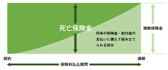 養老保険は、保険期間(保険料払込期間)が一定で、その間に死亡したときには死亡保険金を、満期に生存していたときには満期保険金を受け取ります。
将来の保険金・給付金の支払いに備えて積み立てられる部分は、契約から満期にかけて死亡保険金と同額になるまで増えていきます。